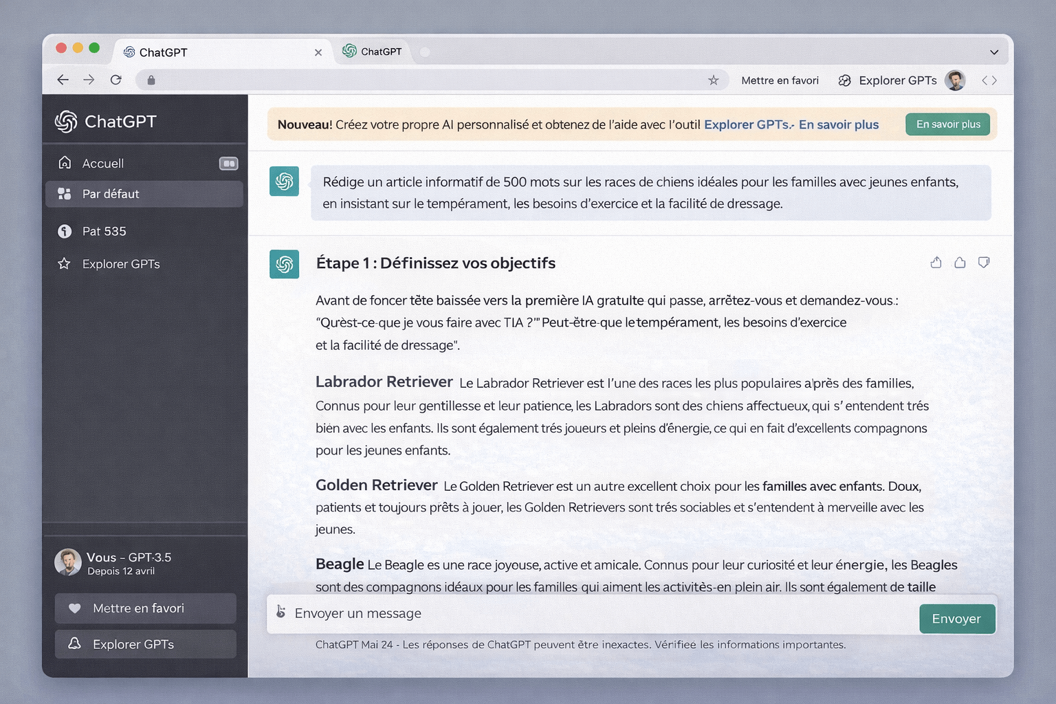 capture d’écran d’une conversation avec une IA, où on voit un prompt clair et la réponse qui va avec
