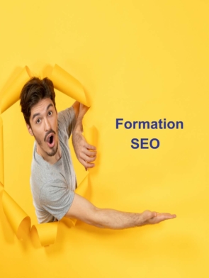 formation seo