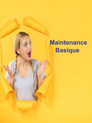 maintenance web