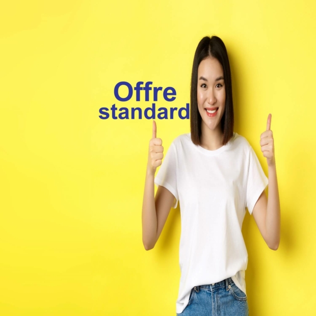 seo_offre_standard