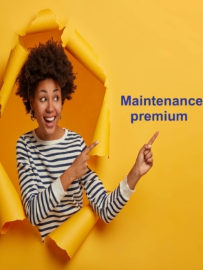 maintenance seo